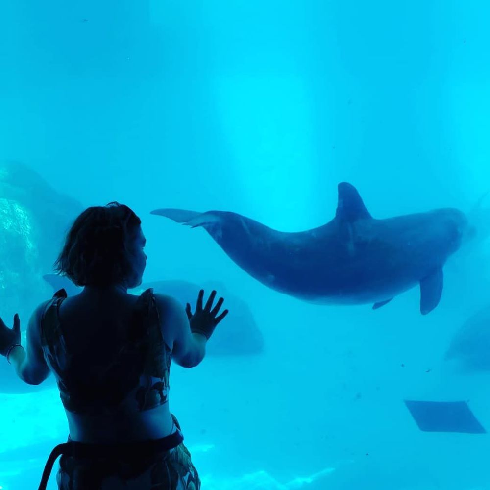 Meet your Posher, Bonnie